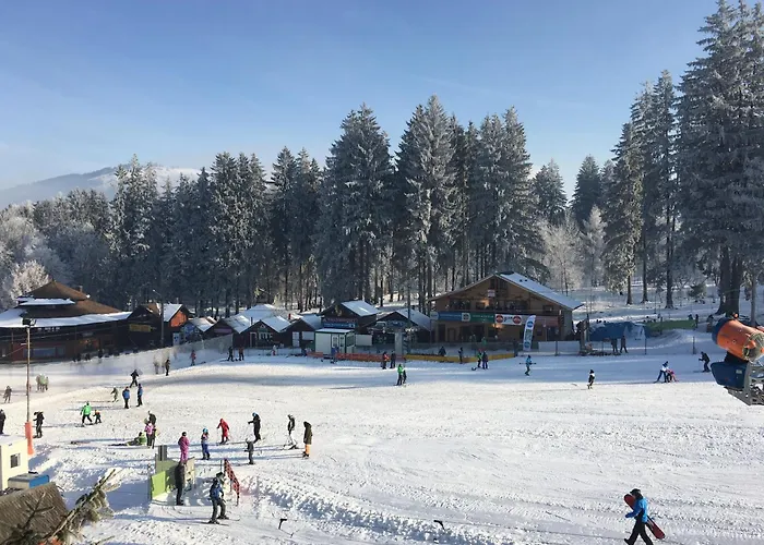 Pensiunea Casa Frasin Vatra Dornei