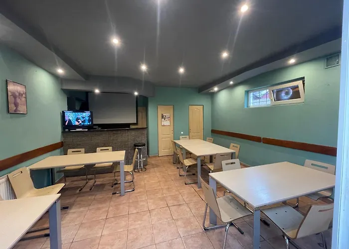 Pensiunea Morosanu Borşa