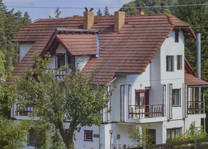 Pensiunea Bianca Bran 