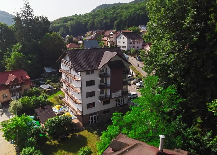 Mont Blanc fostă Belvedere Băile Olăneşti
