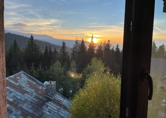 Pensiunea Joe Păltiniş