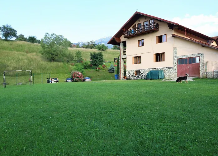 Pensiunea Dealul Frumos Bran 