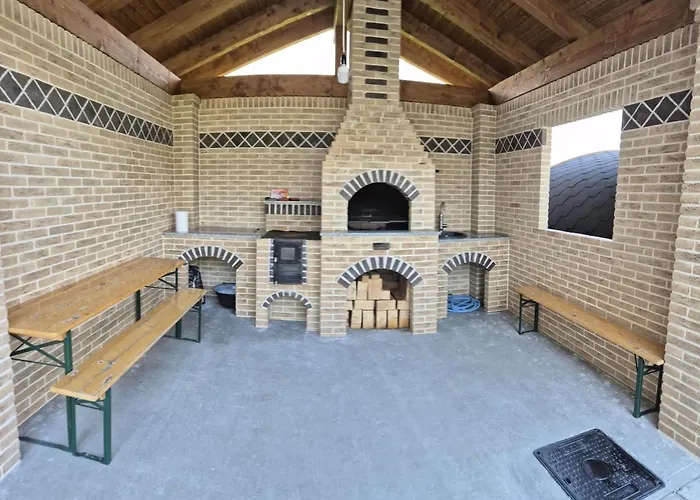 Vila Tudor Borşa
