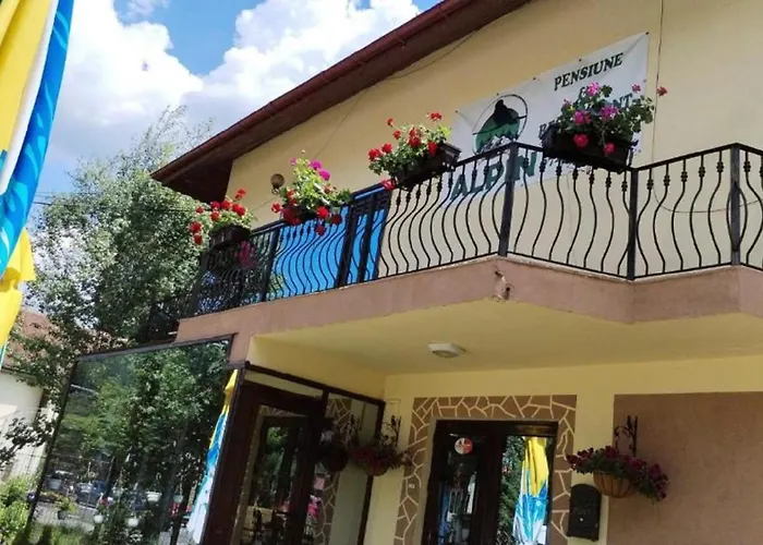 Alpin - Buşteni