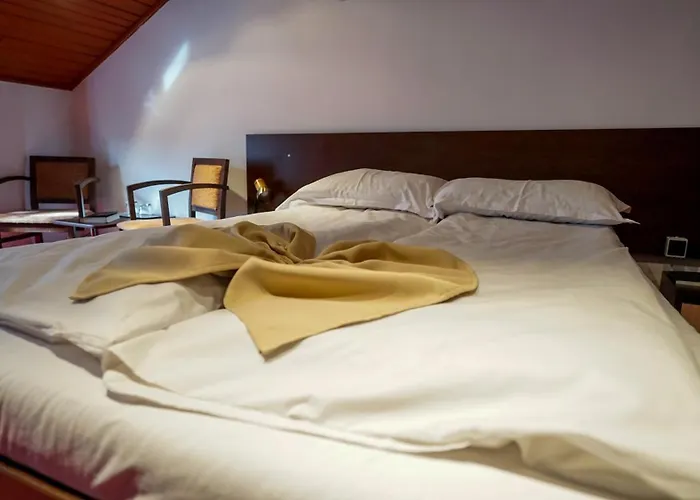 Vila Trandafirul si Liliacul Căciulata