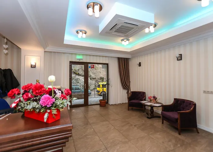 Hotel Holiday Maria Băile Herculane