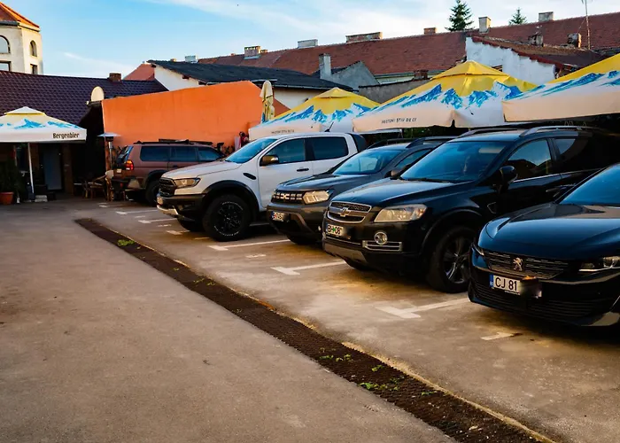 Casa Alis Hotel Oradea
