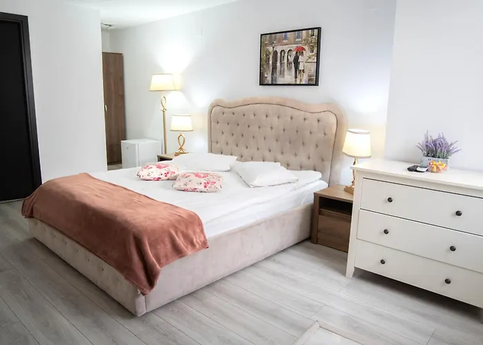 Casa Alis Hotel Oradea