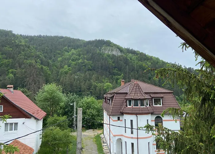 Pensiunea Bianca Bran 