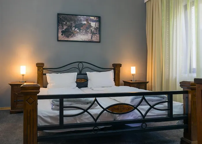 Vila Pufu Slănic Moldova