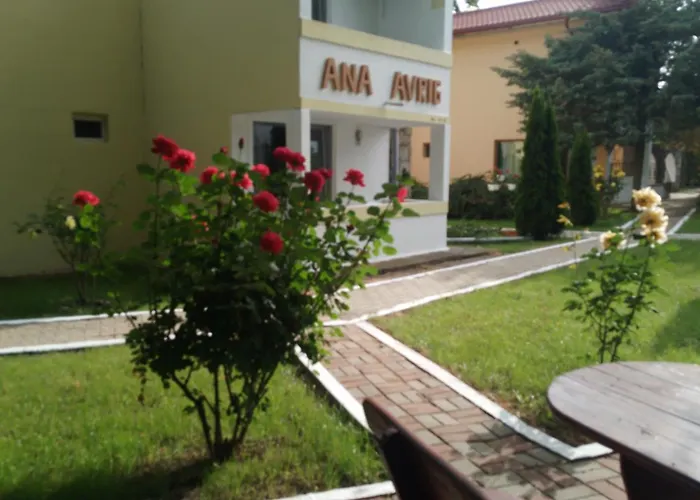 Ana Avrig Hotel Venus