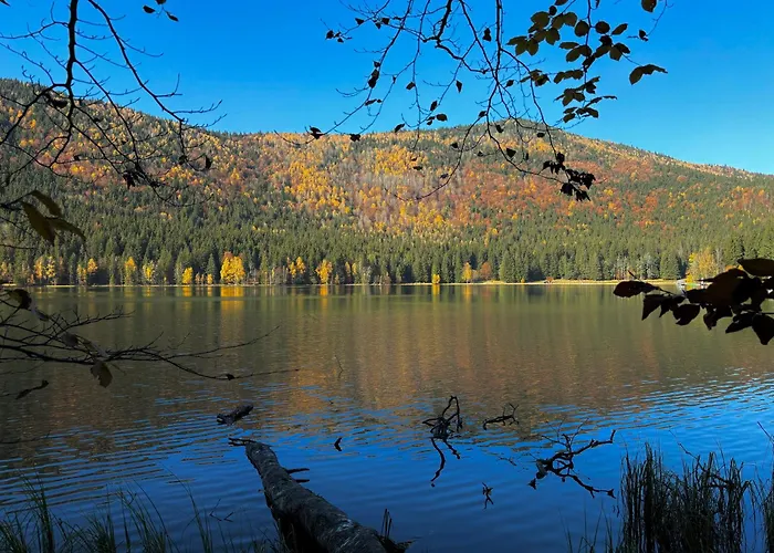 Pensiunea Iris BaileTusnad