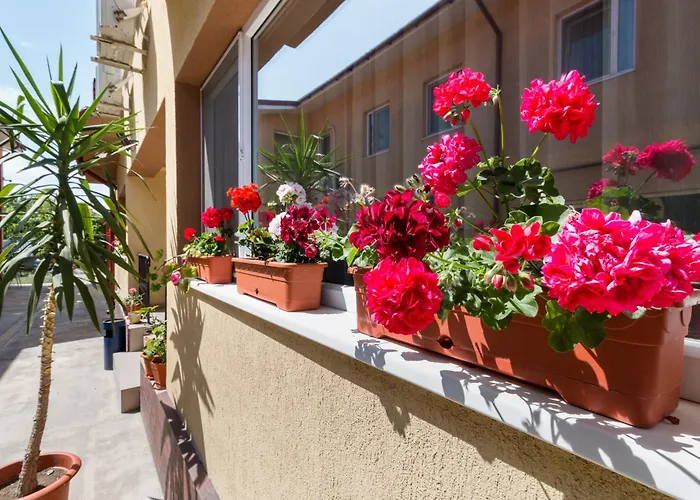 Casa Dinii Hotel Constanţa