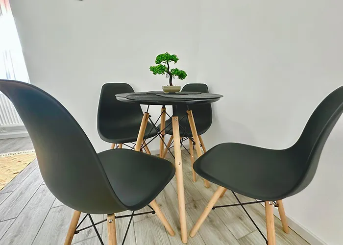 Ayan Studio Craiova