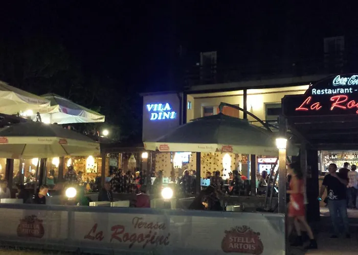Vila Dini Vama Veche