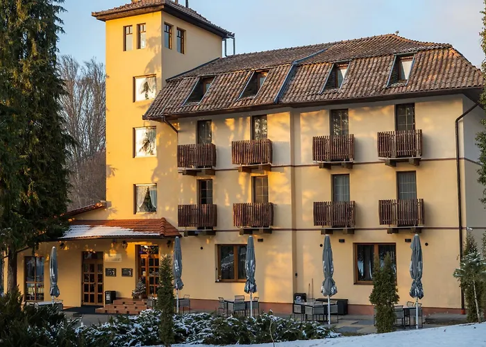 Vila Parc Sovata