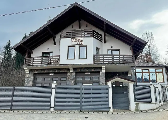 Pensiunea Joreanu Borşa