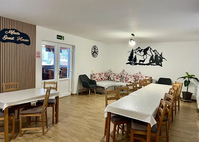 Milea'S Guesthouse Bran 