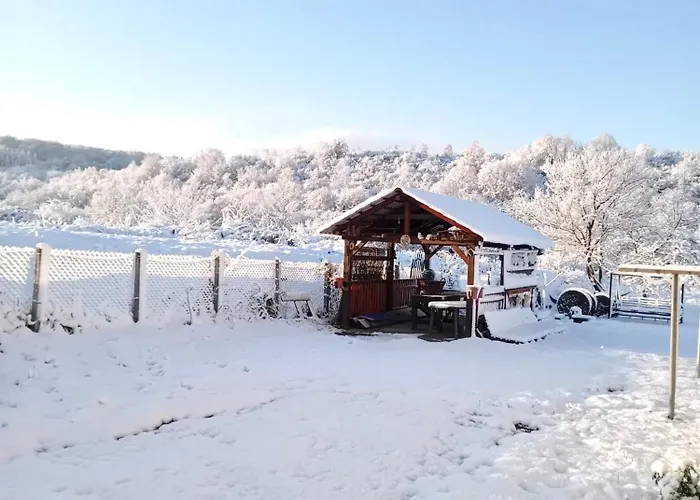 Casa Roua Hotel Băile Felix
