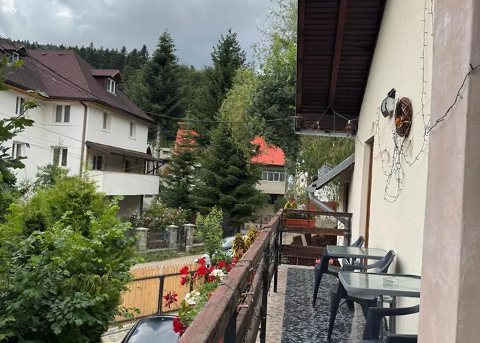 Amandra Chalet Sinaia