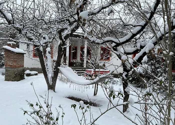 Pensiunea Deceneu Slănic