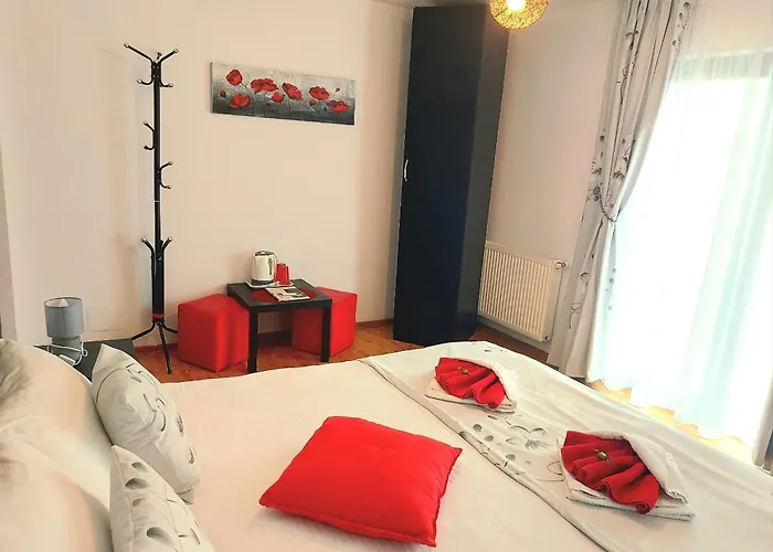 Casuta cu Trandafiri Hotel Slănic