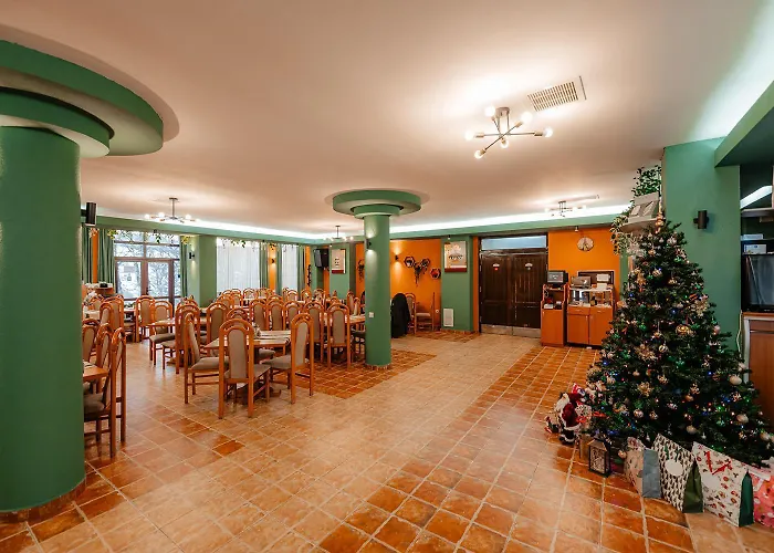 Pension Vanatorul Vatra Dornei