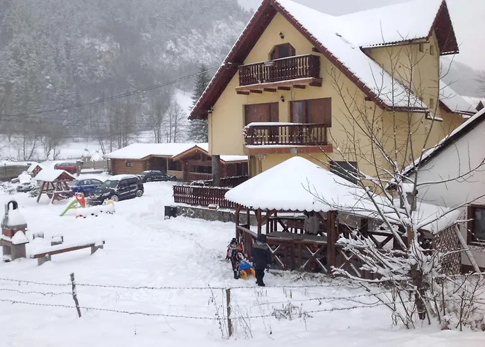 Vila Ianis Bran Bran 