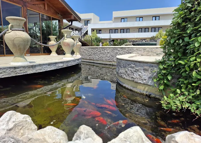 Complex Casa Ani Hotel Eforie Nord