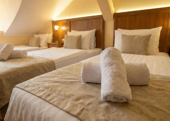 Hotel Maxim Oradea