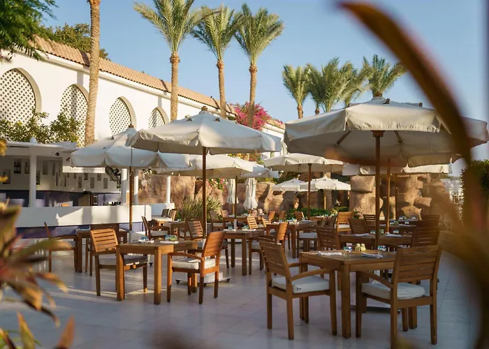 Baron Palms Adults Friendly Only 16 Years Plus Boutique Hotel Style Sharm el-Sheikh