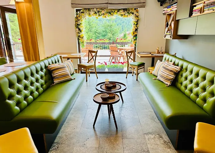 Pensiune Rara Păltiniş