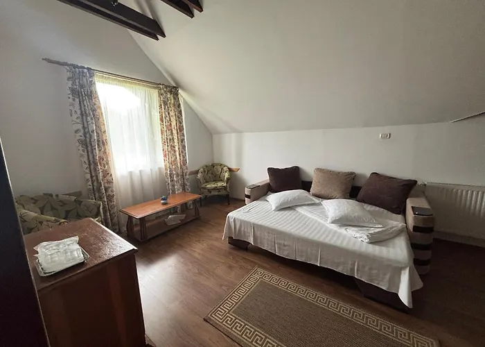 Vila Alisa Bran 