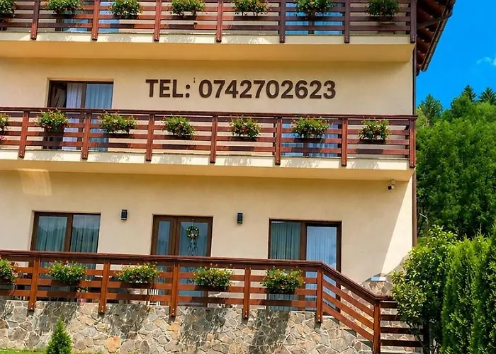 Pensiunea Edia Borşa