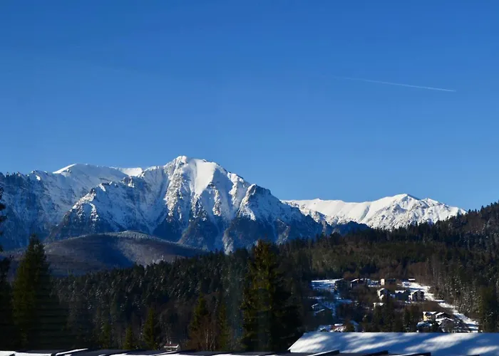 Hotel Ursuletul Predeal