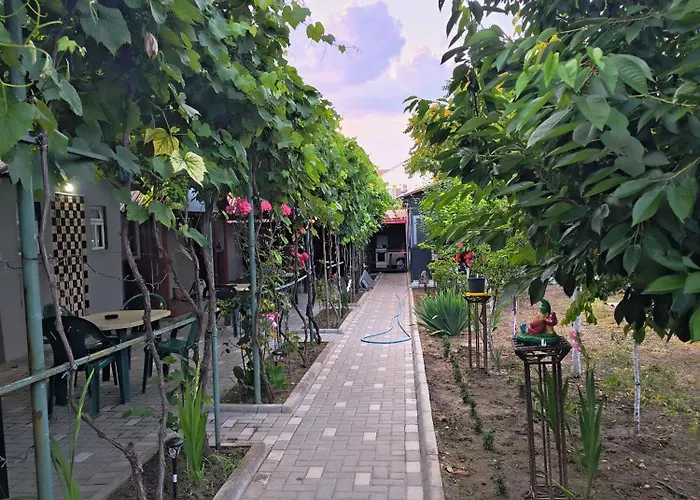 Casa Mihai Costineşti