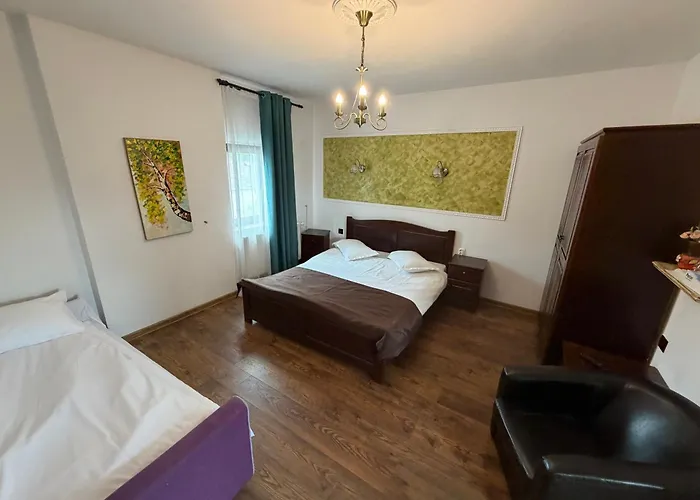 Pensiunea Casa Rica Călimăneşti