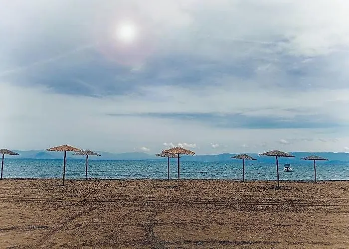 Olive Grove Beachfront Corfu 