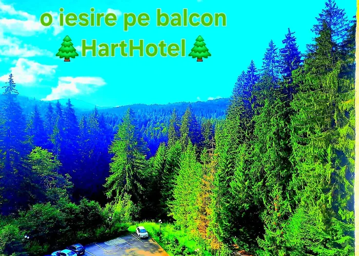 Hotel Hart Predeal