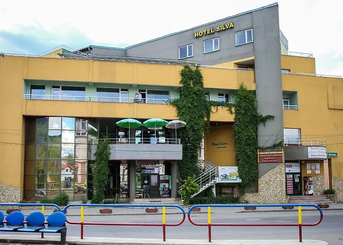 Hotel Silva Vatra Dornei