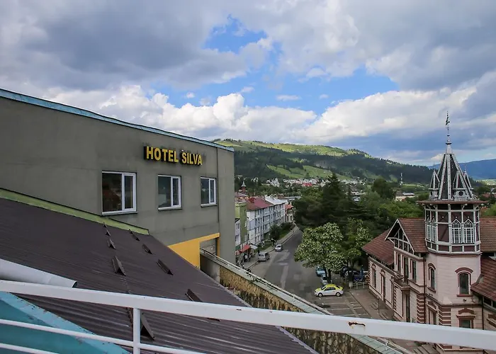 Hotel Silva Vatra Dornei