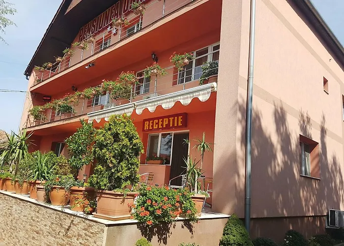 Onalisa Hotel Arad