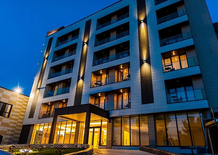 Hotel President Spa Băile Felix