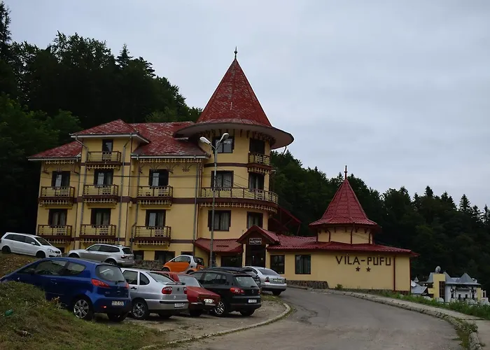Vila Pufu Slănic Moldova