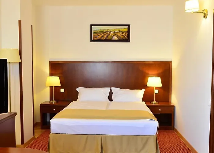 Hotel Miraj Râmnicu Vâlcea