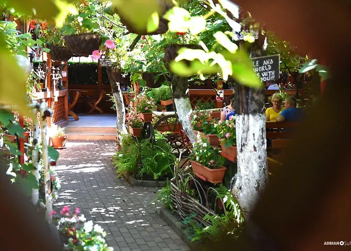Carul cu Flori Hotel Sibiu